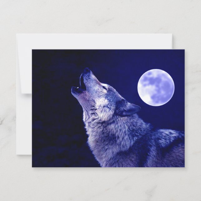 Wolf Howling at Moon (Front)