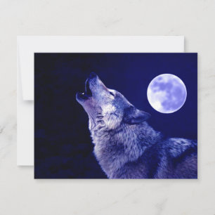 Wolf Howling at Moon
