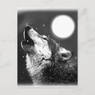 Wolf Howling at Moon Postcard
