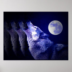 Wolf Howling at Moon Poster Print - Wolf Posters