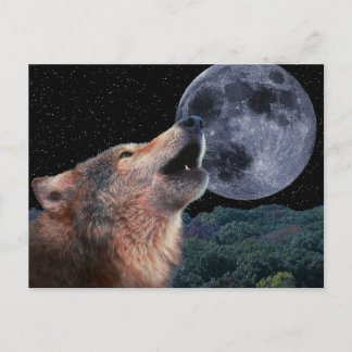 Wolf Howling at the Full Moon - Multi-Products-02 Postcard