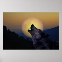 Wolf howling at the moon