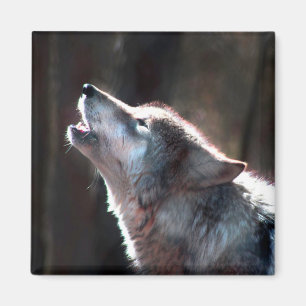Wolf Howling Lone Wolf Magnet