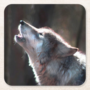 Wolf Howling Lone Wolf Square Paper Coaster