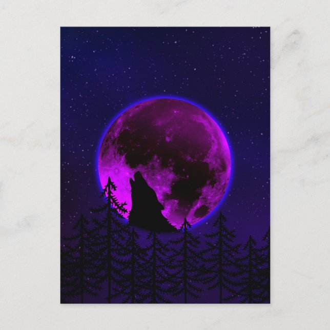 WOLF HOWLING MOON MAGENTA   POSTCARD (Front)