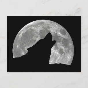 wolf howling postcard