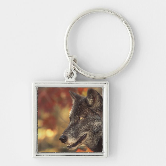 Wolf in Autumn Key Ring (Front)