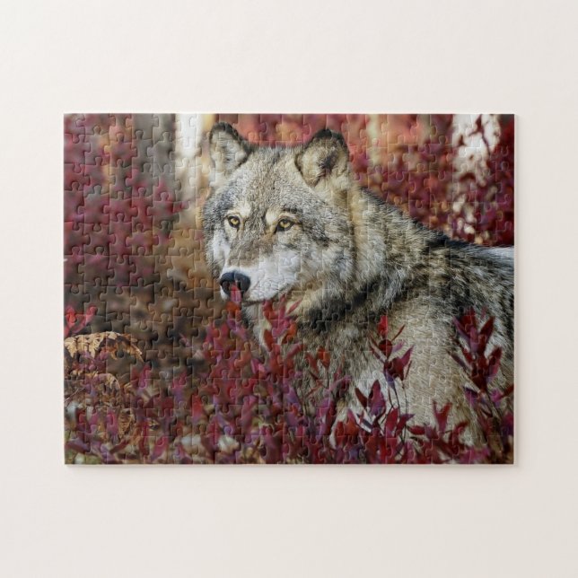 Wolf In Fall Foliage Jigsaw Puzzle (Horizontal)