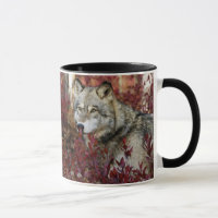 Wolf In Fall Foliage