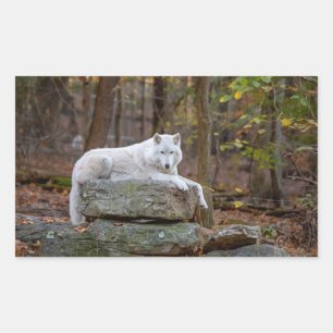 Wolf in Fall Rectangular Sticker