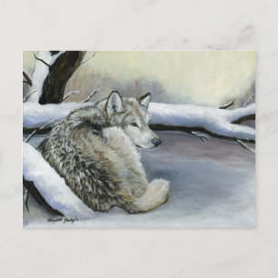 Wolf in the Snow Animal Art Post Card
