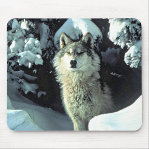 Wolf In Winter Forest Gaze Mouse Mat