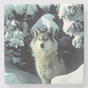 Wolf in Winter Forest Wildlife Art Stone Coaster