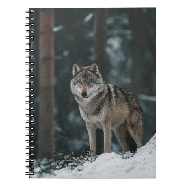 Wolf in Winter Notebook (Front)