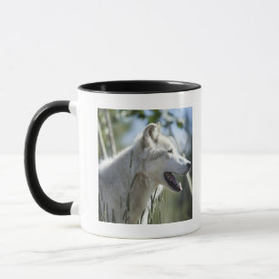 Wolf in Yellowstone 2 Mug