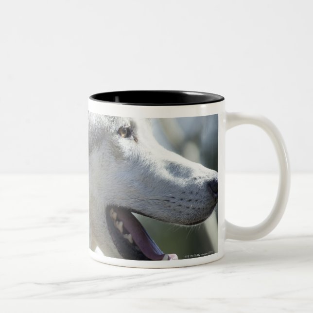 Wolf in Yellowstone. Two-Tone Coffee Mug (Right)