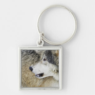 Wolf Key Ring