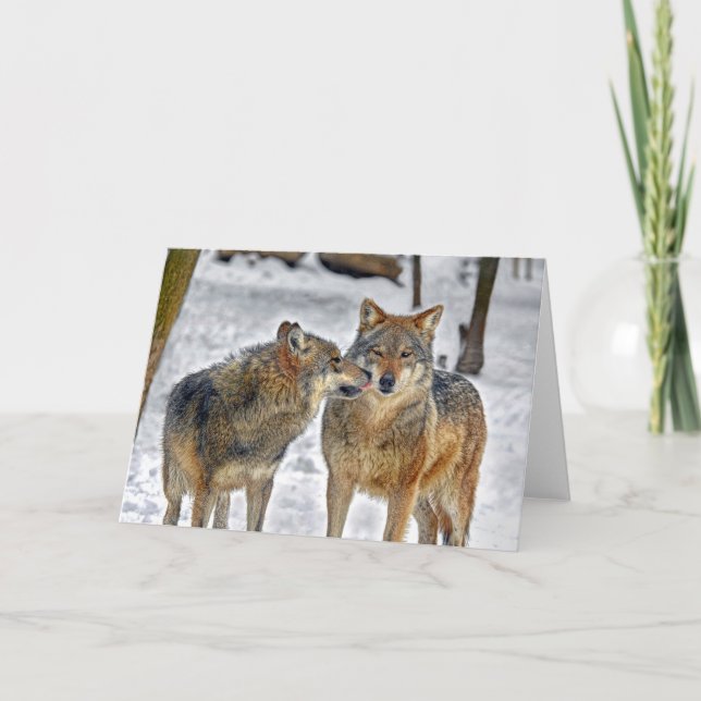 Wolf Kiss Card (Front)