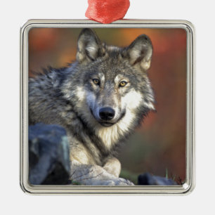 Wolf Lovers Art Metal Tree Decoration
