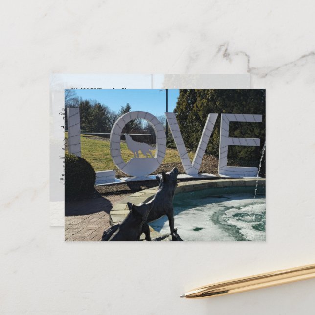 Wolf LOVEworks Sign Postcard (Front/Back In Situ)