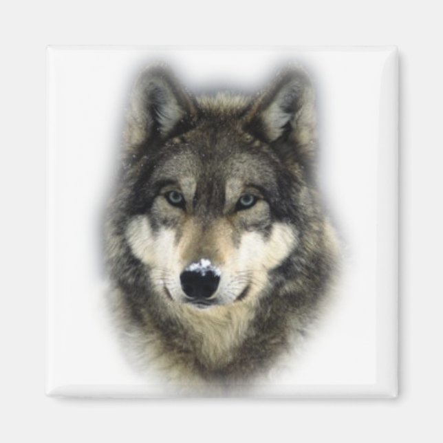 Wolf Magnet (Front)