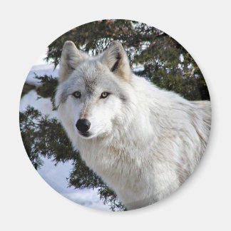 wolf magnet