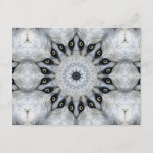 Wolf Mandala Fierce Eyes and Furry Symmetry Postcard