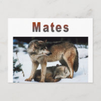 Wolf Mates Line