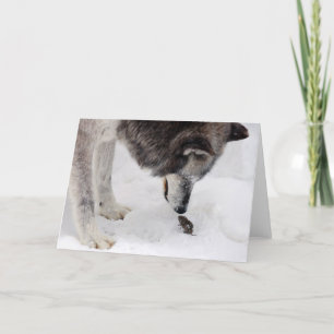 Wolf Meets Mouse Card