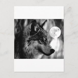Wolf & Moon Postcard