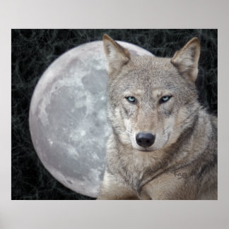 Wolf Moon Print