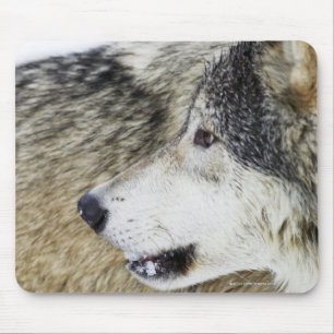 Wolf Mouse Mat