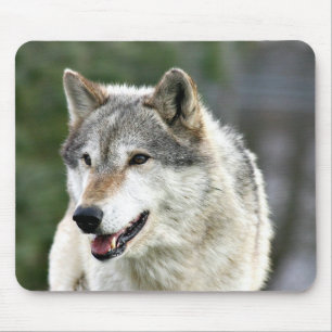 Wolf Mouse Mat