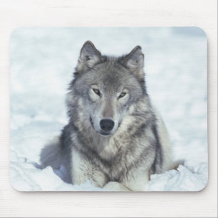 Wolf Mouse Mat