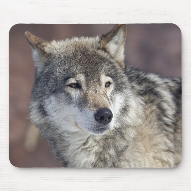 Wolf Mouse Mat (Front)