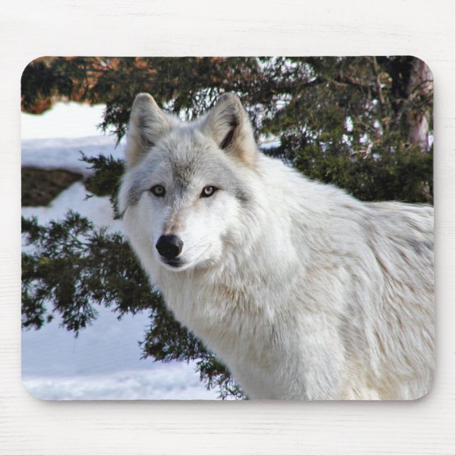 wolf mouse pad (Front)