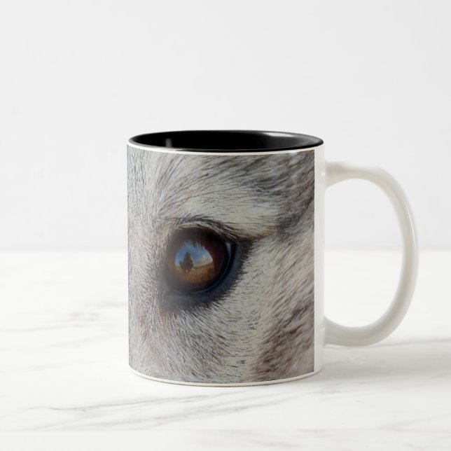 Wolf Mug Coffee Cup Cool Wild Dog Cups & Gifts (Right)