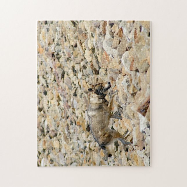 Wolf on the Rocks Jigsaw Puzzle (Vertical)