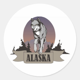 Wolf or coyote among pine trees in Alaska Classic Round Sticker