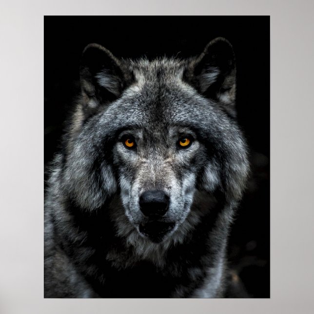 Wolf Orange Eyes Wild Animal Nature Poster (Front)