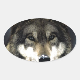 Wolf Oval Sticker