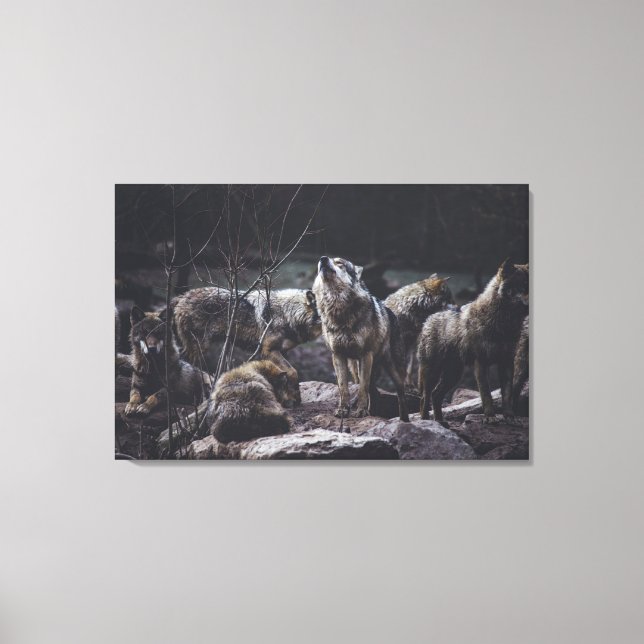 Wolf Pack Canvas Print (Front)