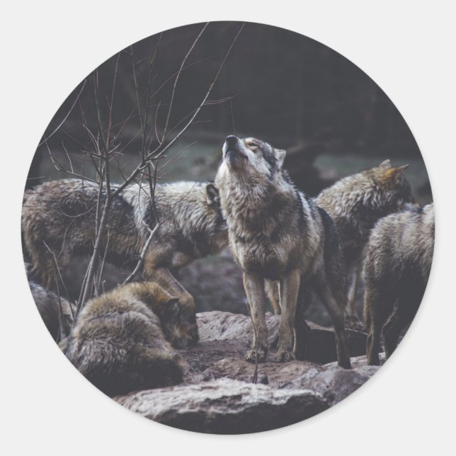 Wolf Pack Classic Round Sticker (Front)