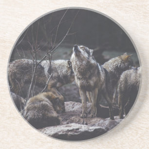 Wolf Pack Coaster