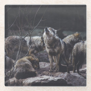 Wolf Pack Glass Coaster