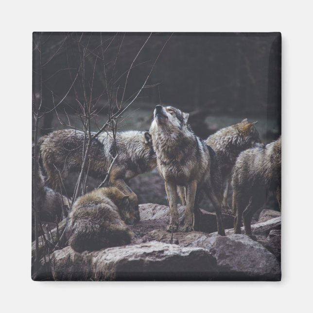Wolf Pack Magnet (Front)