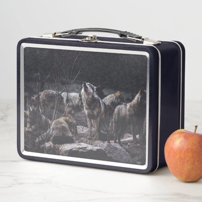 Wolf Pack Metal Lunch Box (In Situ)