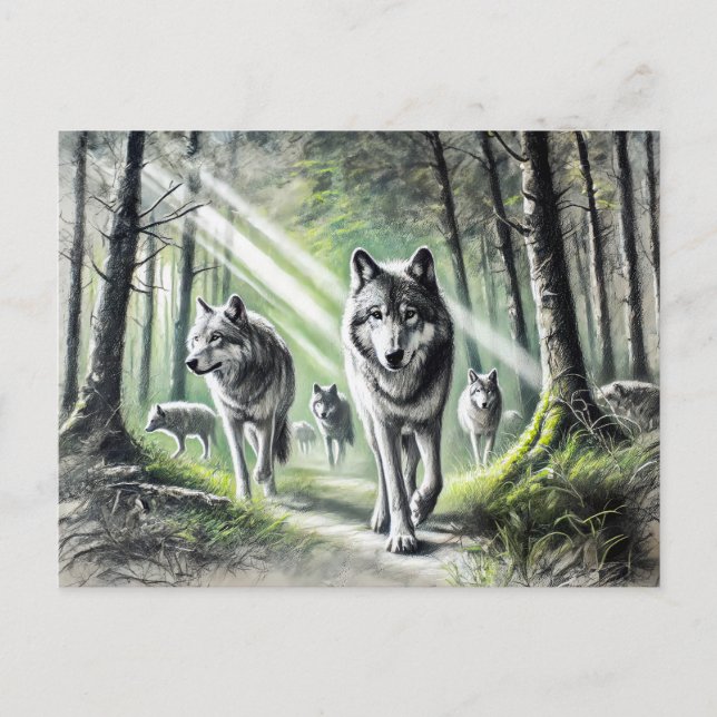 Wolf Pack Moving Through Green Forest Postcard (Front)