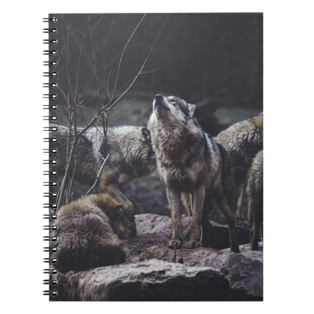 Wolf Pack Notebook (Front)