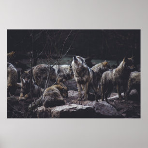 WOLF PACK ON ROCK FORMATION POSTER